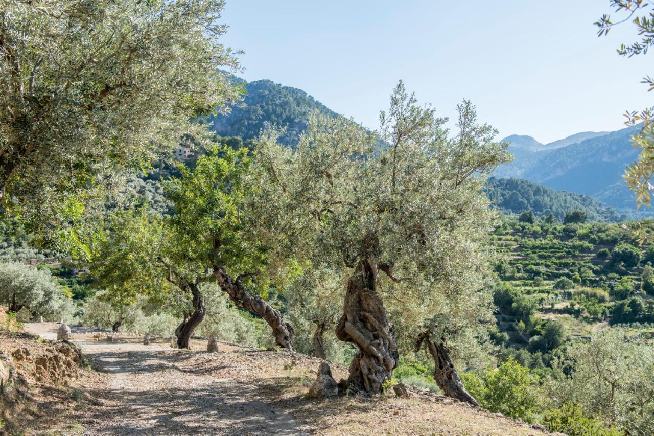 Raco De Villa Sóller